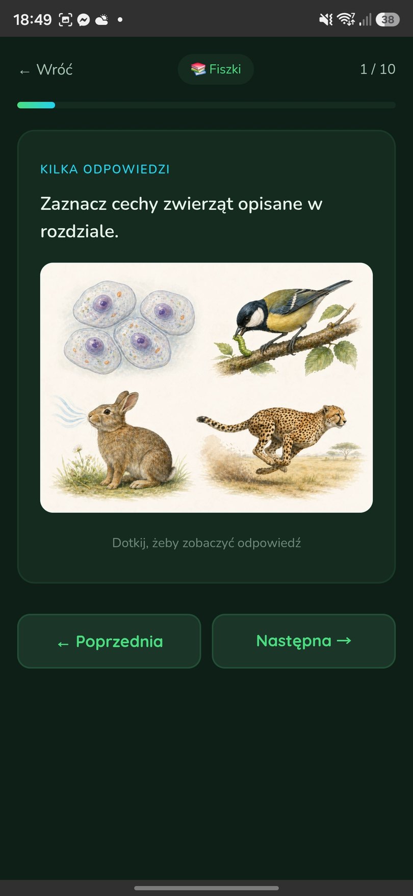 Fiszka z pytaniem i ilustracją do powtórzenia