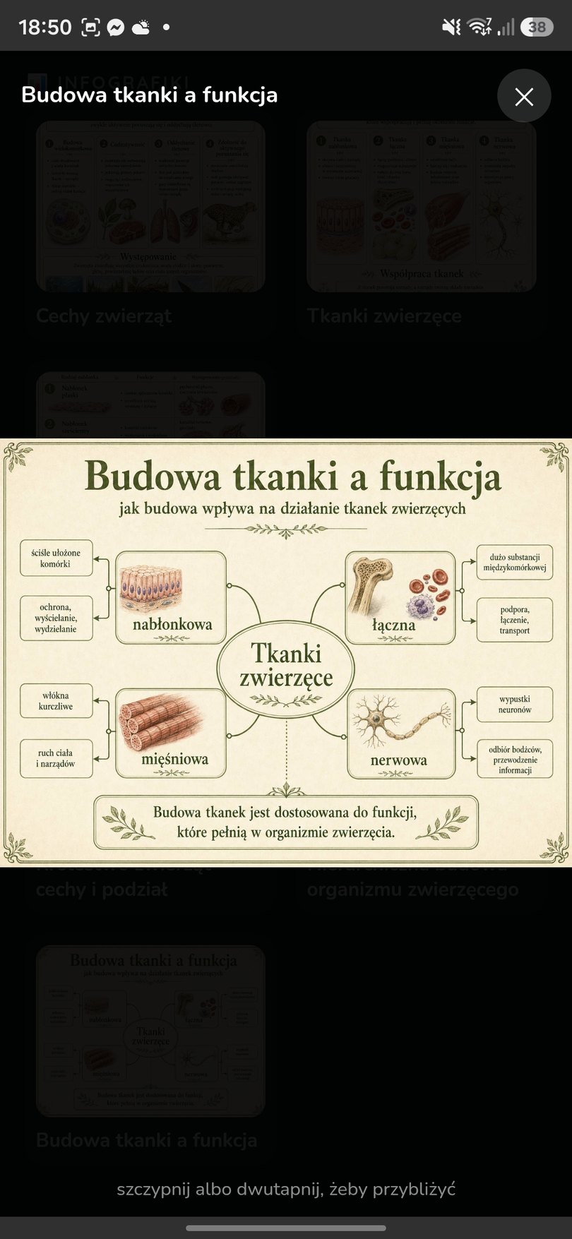 Mapa pojęć rozdziału pokazująca powiązania między zagadnieniami